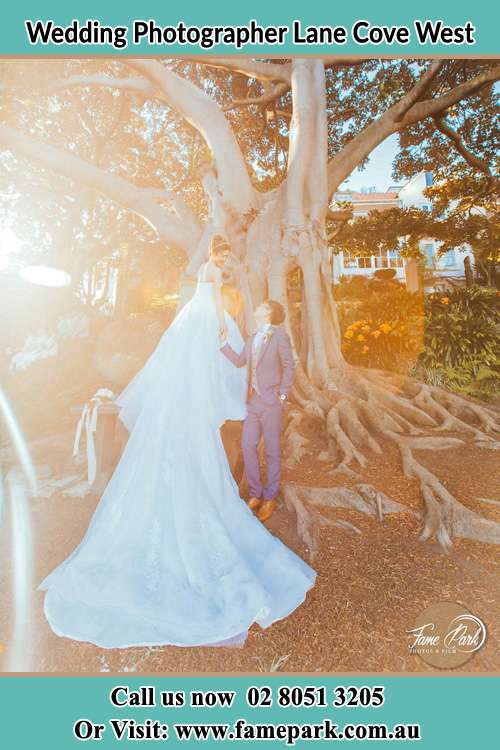 Photo of the Bride and the Groom looking each other besides the tree Lane Cove West NSW 2066