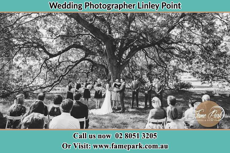 Wedding ceremony under the big tree photo Linley Point NSW 2066