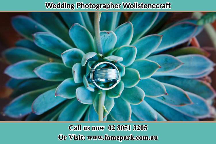 Photo of the wedding ring design at the top of the plant Wollstonecraft NSW 2065